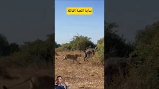 الخطأ الأخير قبل السقوط الكبير#shorts