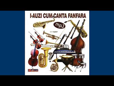 FANFARA DE LA VALEA MARE -De mic am fost om cinstit