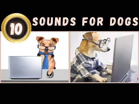 🤔Sounds That Tilt Dogs Heads🔔and Make Your Dog Go Crazy | 10 Sounds for Dogs
