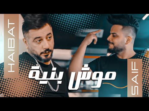 موش بنية هيبت البدر