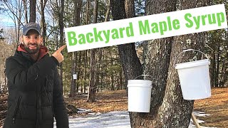 Maple Syrup Supplies to Get Started - Budget Friendly