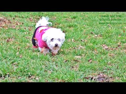 How to Simply Overcome  Needless Fear