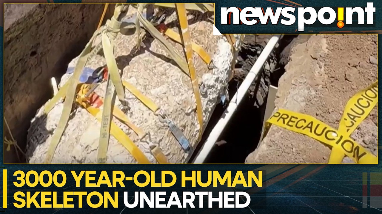 3000-Year Old Human Skeleton Unearthed, Remains Found In An Ancient Burial Site | WION Newspoint