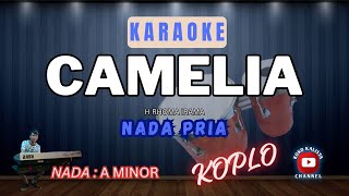 Download lagu CAMELIA KARAOKE NADA PRIA || RHOMA IRAMA (SUNGGUH TAKAN KUBIARKAN) mp3 Download lagu CAMELIA KARAOKE NADA PRIA || RHOMA IRAMA (SUNGGUH TAKAN KUBIARKAN) mp3