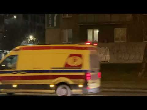 05. kot kuler / urb - błękitne ptaki