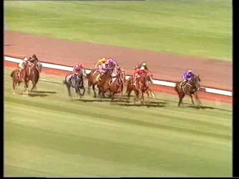 1987 VRC Australian Cup race