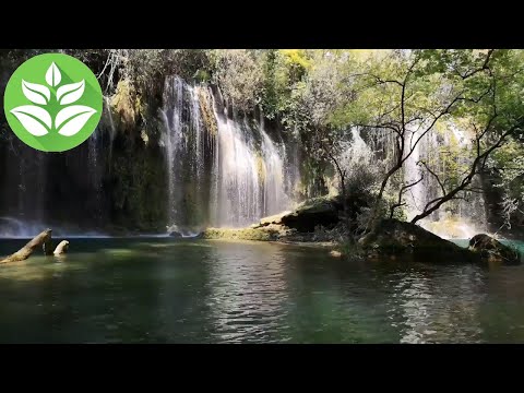 Tropical waterfall in the jungle. White noise (sound) of falling water for sleeping (10 hours).