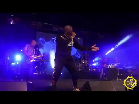 Teddyson John featuring Kes at Brass Fest 2019 Brooklyn Museum