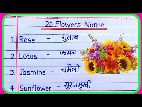 20 Flowers name in hindi and english | Flowers name | phoolon ke naam | name of Flowers