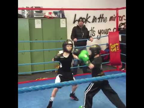 Alfie Haile Boxing Match 8 Year Old