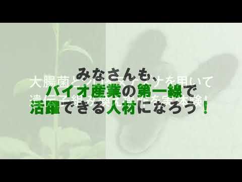 中部大学「応用生物化学科編」