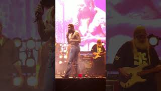 Post Malone – Sunflower Live in San Diego 🌻