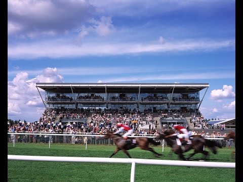 Hennessy Gold Cup 2014 - The Contenders