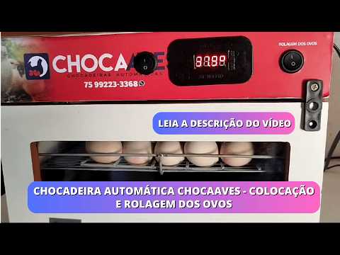 CHOCAAVES Automatic Incubator - Egg Placement and Rolling (Read the description)