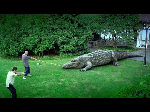 Golden Crocodile (Action) Film complet en français