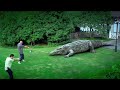 Million Dollar Crocodile (Action, Adventure) Full Movie | Subtitled