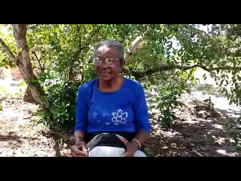 Martim Laranjeiras contada por sua filha Elza Martins