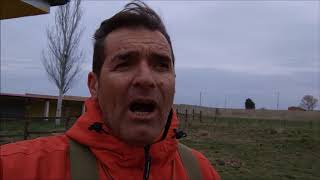 Previo al respeto al vuelo: Cobro a la orden