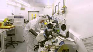 Quantum security solutions: security guaranteed by the law of physics