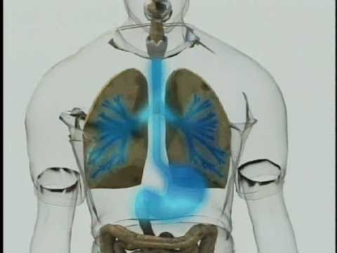 放射線の原理 - 被ばくと汚染 (Radiation Principles - Exposure vs Contamination)