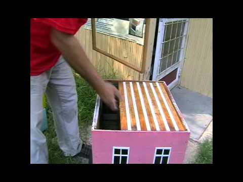 Iskustva stranih pčelara 1.    Prilog 97.