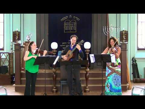 26sec teaser F. Molino Grand Trio Concertant op45