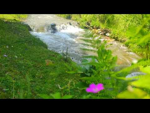 Apuseni ! Valea Vadului !