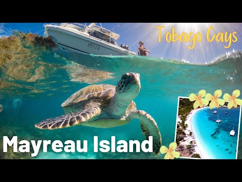 Amazing Mayreau Island (St. Vincent and the Grenadines) 2026 Travel Guide