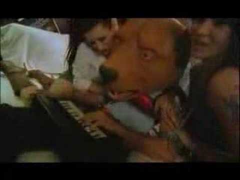 Teddy bears - Cobrastyle