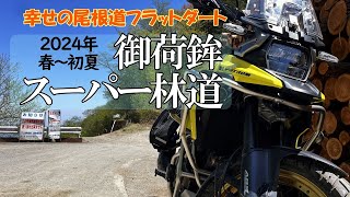 【御荷鉾スーパー林道】幸せの尾根道フラットダートを走りに行こう！2024年春～初夏 群馬県|V-Strom1050XT