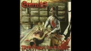 Entrails - Tales From the Morgue (Full Album)