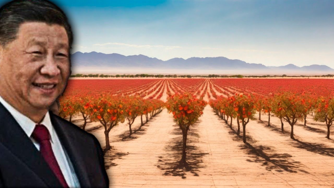 Cultivar Frutas no Deserto? Foi Assim que Empresária chinesa Ganhou US$ 9 Milhões