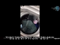 Best Hair Catcher Laundry Cleaning Pet Hair Washing Machine Collector 2020
