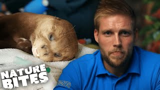 Saddest Animal Stories from Chester Zoo | The Secret Life of the Zoo | Nature Bites