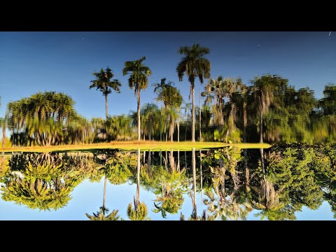Fairchild Tropical Garden | Florida (4K UHD)