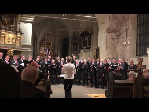 Julkonsert 2018 - Arboga Manskör