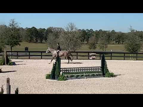 CMS Levantos video 3