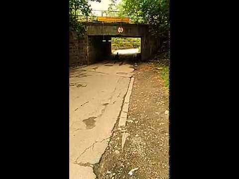 Transport Drewna By Wojtas !