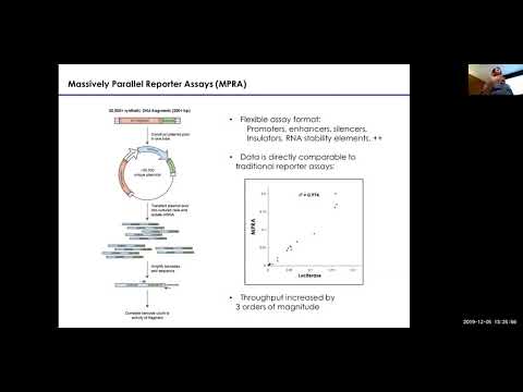 MIT CompBio Lecture 24 - Genome Engineering (Fall 2019)