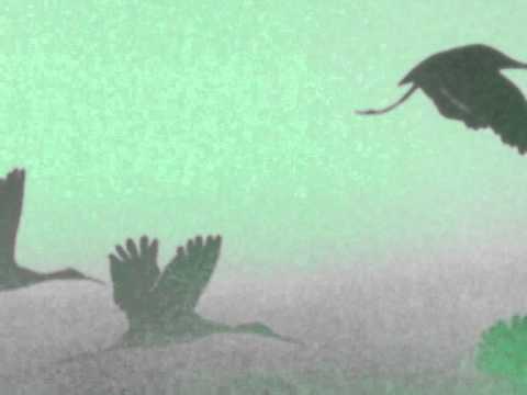 Sven Torstenson - Flight of no return