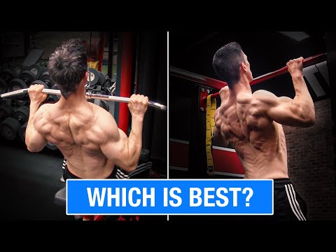 Free Weight vs. Bodyweight Exercises (BACK EDITION!)