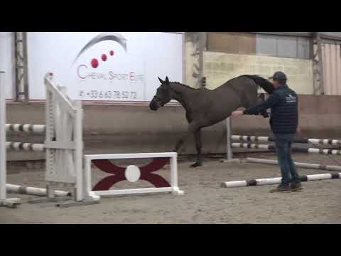 I'M SPINA DU RUISSEAU Z