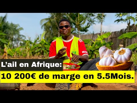 , title : 'L'ail en Afrique: 10 200€ de marge en 5,5 Mois.'
