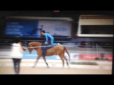 Jannik Heiland - CVI Doha/Katar 2014 Pflicht