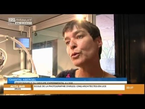 Un virus géant âgé de plus de 30 000 ans