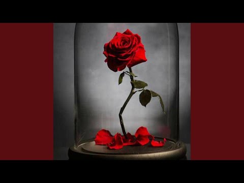 La bella e la bestia