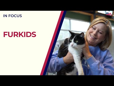 Transforming Lives at Fur Kids Animal Shelter | Everyday Heroes