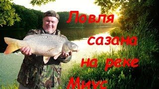 Отчеты о рыбалке на миусе