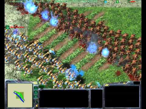 200 Immortal vs 500 Hydralisk