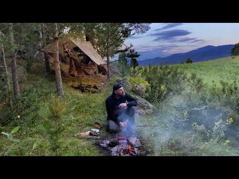 24 Hours in Extreme Conditions: A Hammock That Will Change Your Mind about Survival!